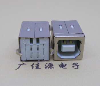 龙岩USB BF180度母座 打印机接口 立式直插带赛