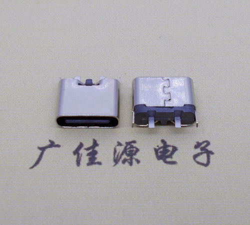 龙岩铆合式type c2p母座两脚插板尾部带卡扣