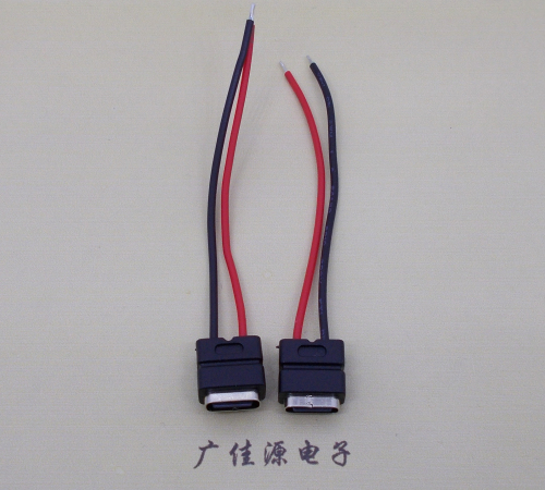龙岩type c2p防水母座焊线式带线注塑成型带接线端子/不带接线端子充电连接器